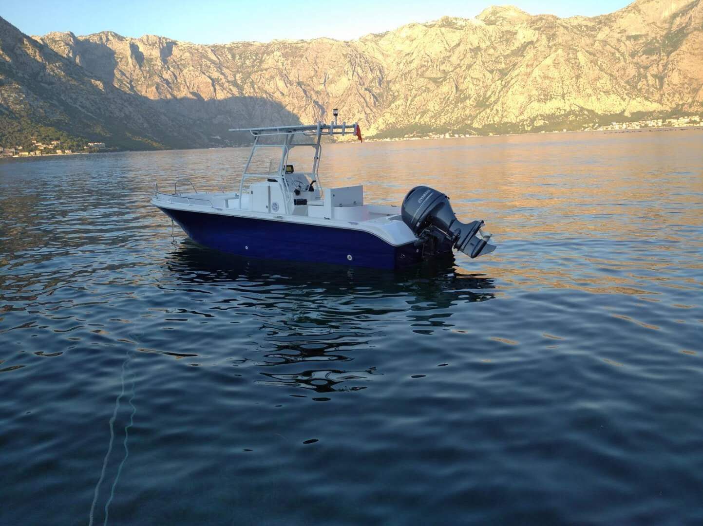 Deep Sea Advanced Trolling Motor Fishing Boat